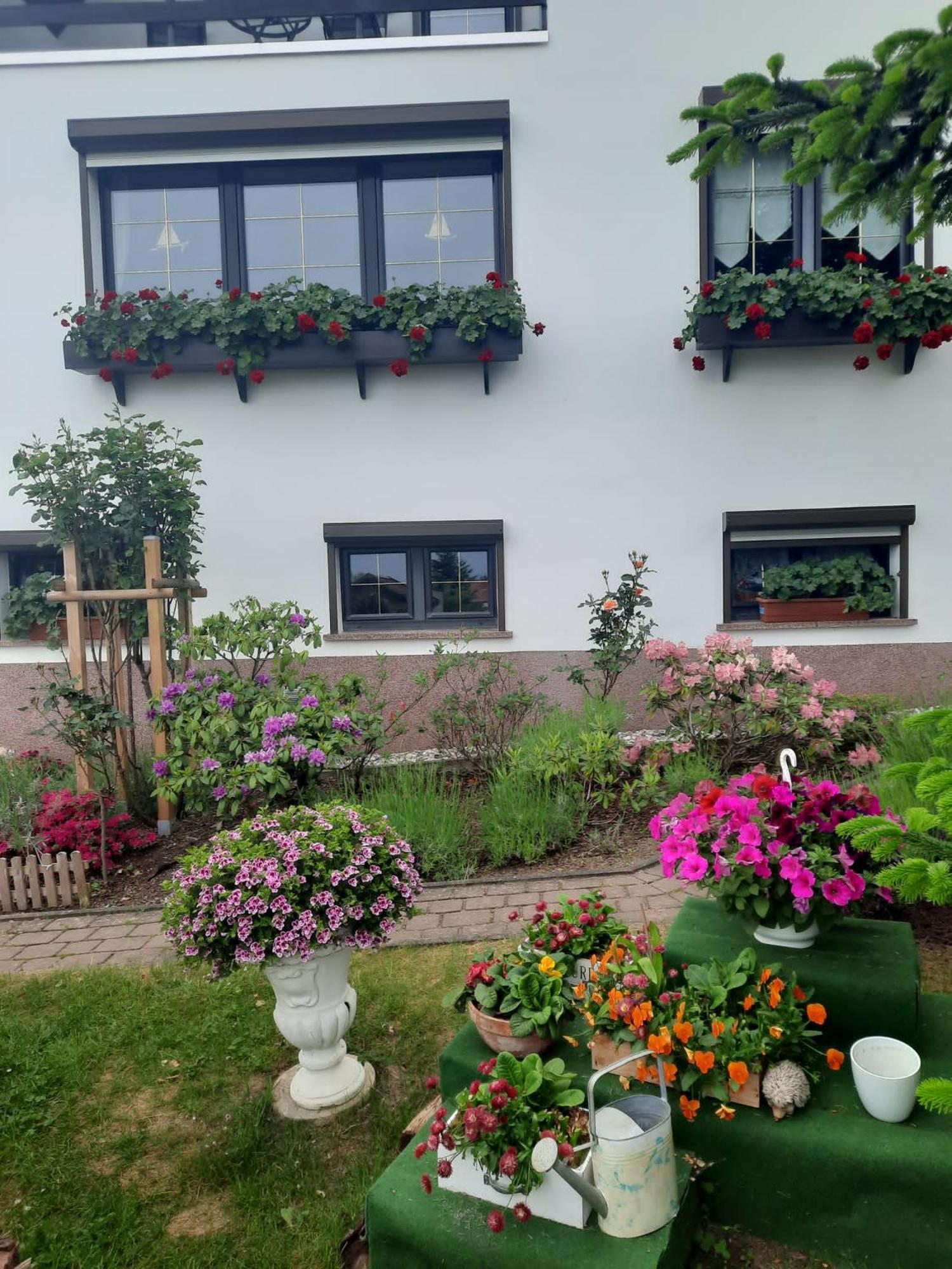FerienwohnungHarzblick Gernrode  Exterior foto