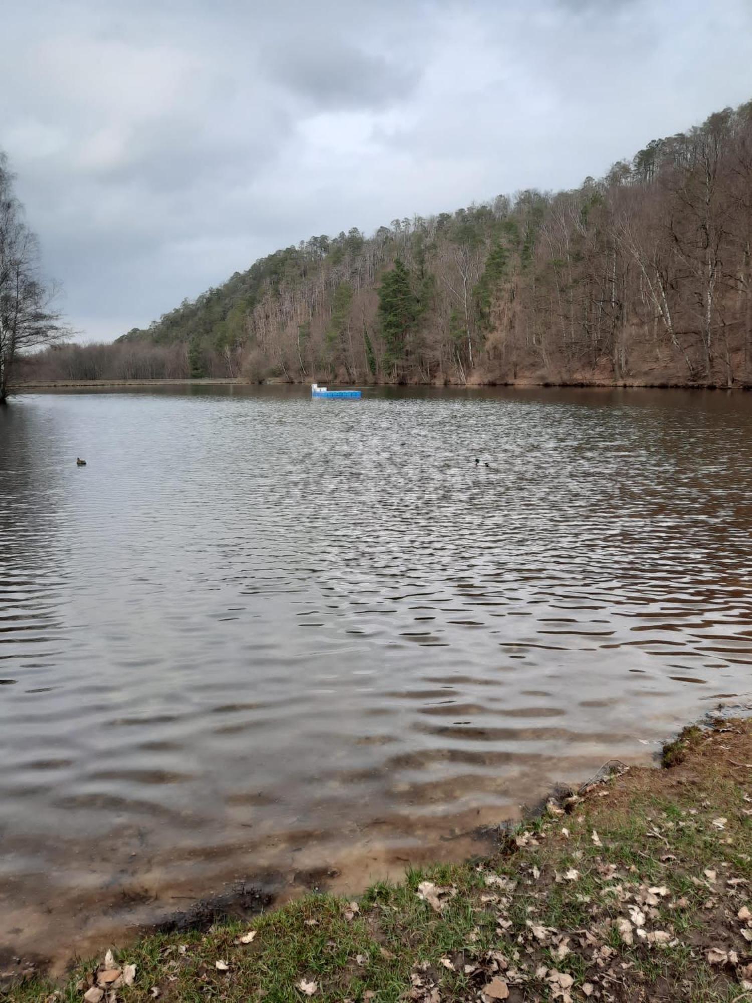 FerienwohnungHarzblick Gernrode  Exterior foto